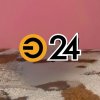 Иконка канала ЭФИР-24 КОТИКИ
