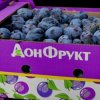 Иконка канала ДонФрукт