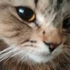 Иконка канала Майнкрафт-mod