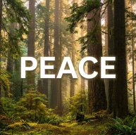Иконка канала Peace
