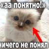 Иконка канала channel79491897