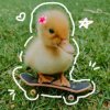 Иконка канала ☀️ Уточки🐤