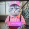 Иконка канала Котейка Яндекс