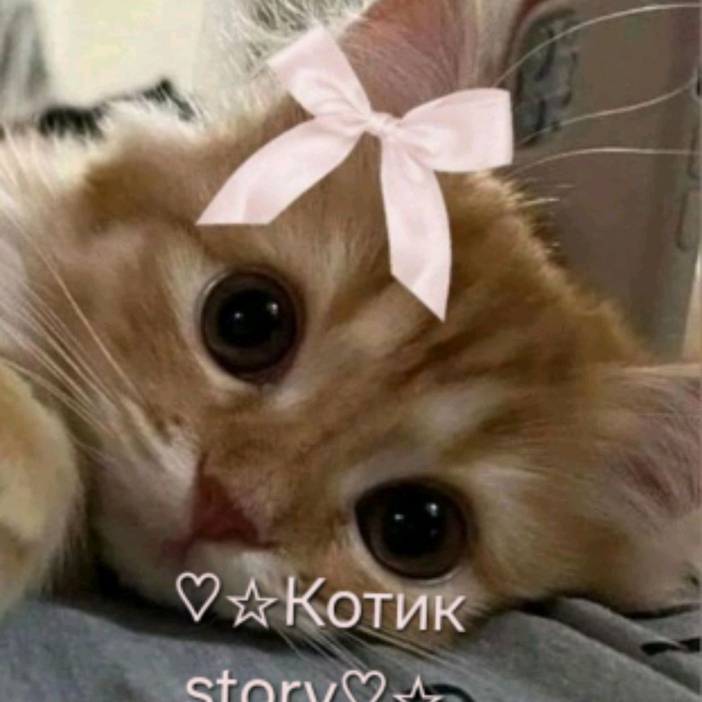 Иконка канала ♡☆Котик☆♡