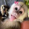 Иконка канала itz.polina#🐒