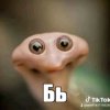 Иконка канала 🥔Mr. Картошка🥔