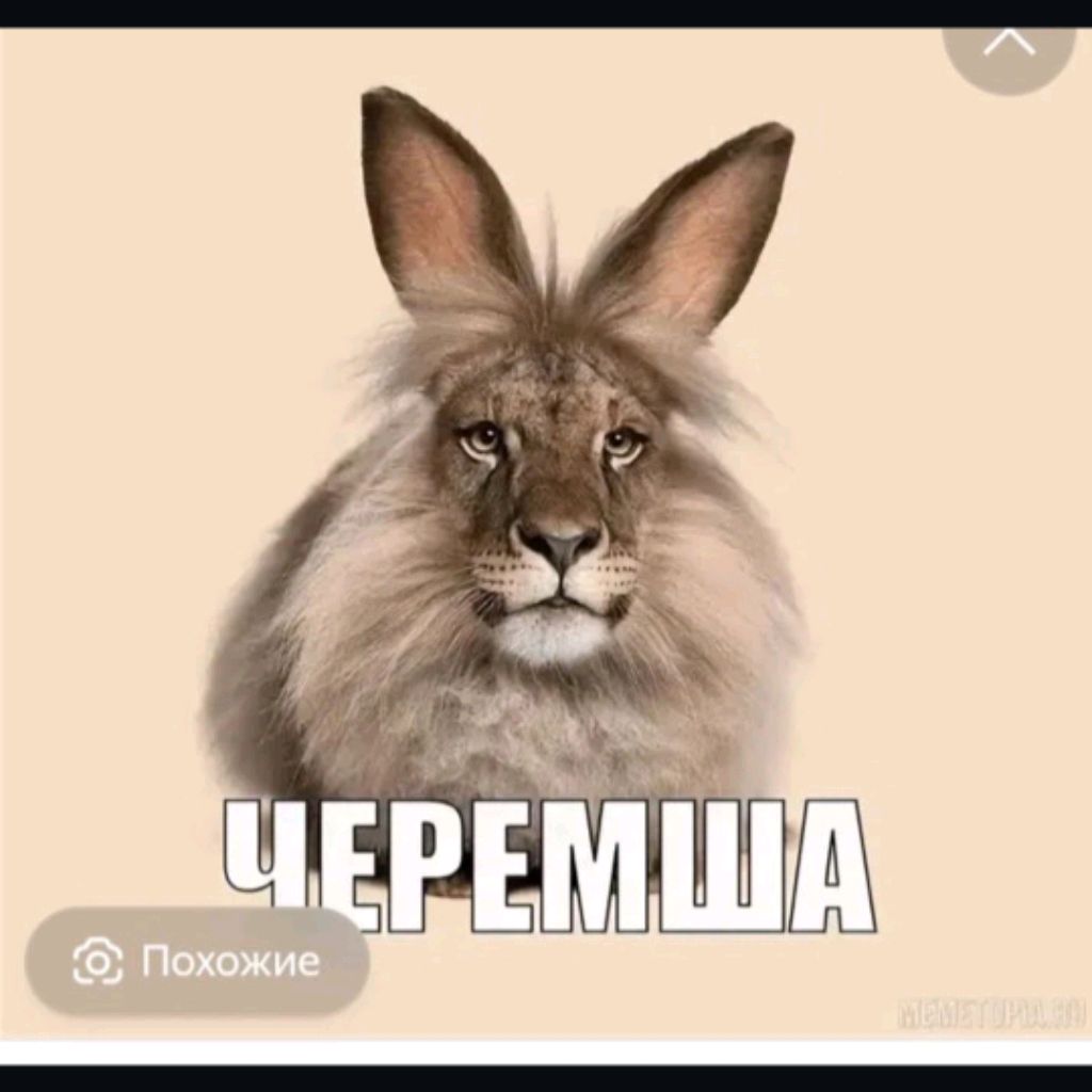 Иконка канала Заяц Games 🐇🌴🍉