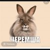Иконка канала Заяц Games 🐇🌴🍉