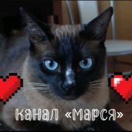 Иконка канала 🤎Марся🐱