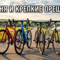 Иконка канала Ваня и крепкие орешки