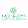 Иконка канала Сады-Эдема