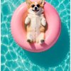 Иконка канала CORGI TV Творчество🎨