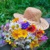 Иконка канала Дачницы