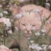 Иконка канала 🌾•Ketny•🌾