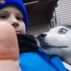 Иконка канала Собачник