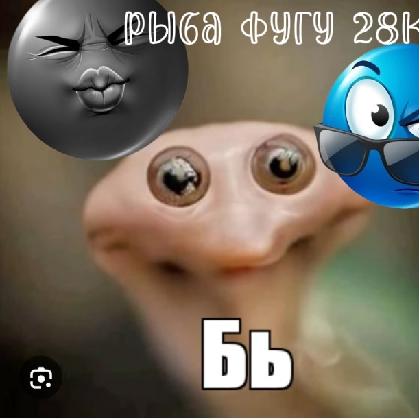 Иконка канала Рыба Фугу 28к