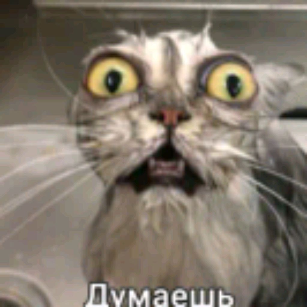 Иконка канала Dostik k