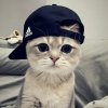 Иконка канала wht.leyd