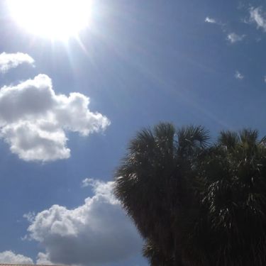 Иконка канала Sunny Land