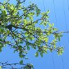 Иконка канала Уля Крутышка Клубничка