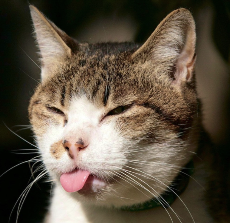 Иконка канала HhhhhhelgàaaАaaaАААaаa WWWWWWWWWWWWWWWWWWWWWWWWWWW