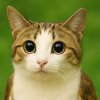 Иконка канала channel71609505 БА ИП