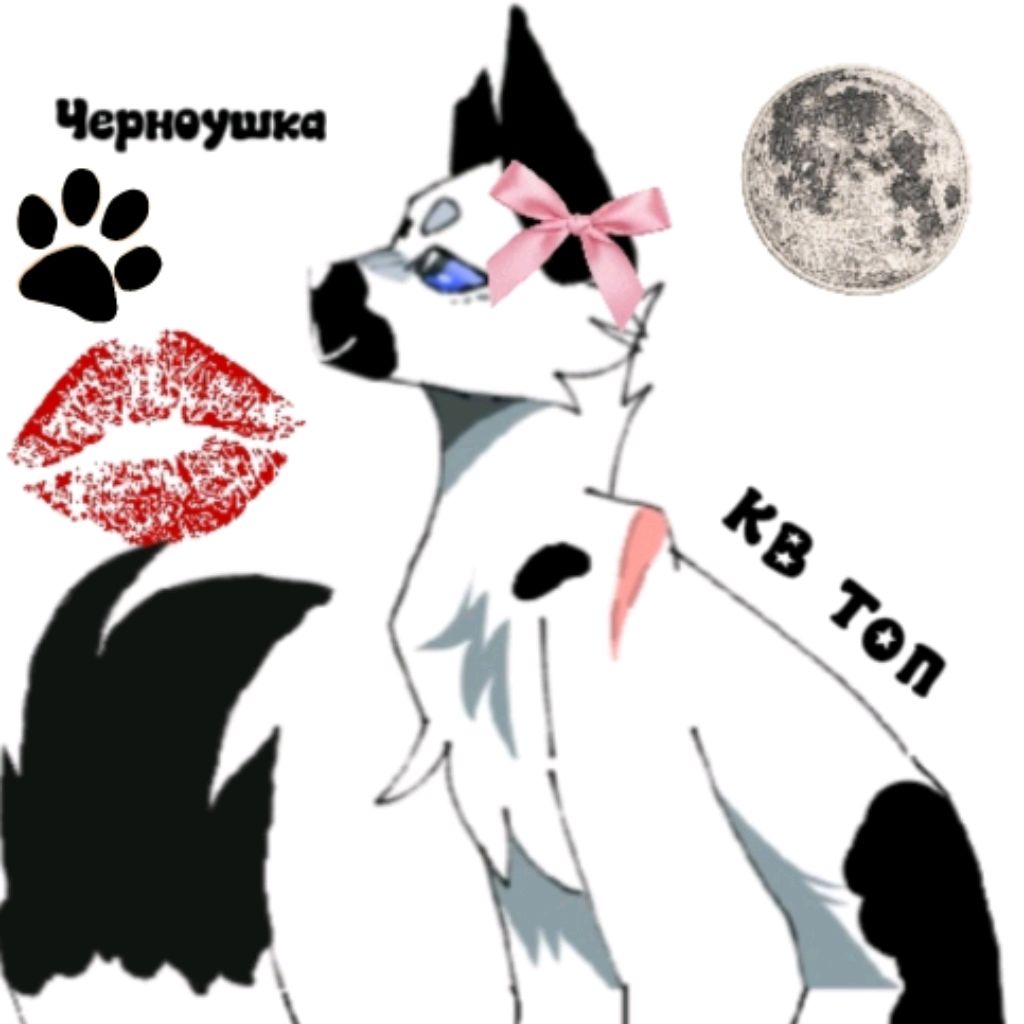 Иконка канала 🖤Черноушка КВ🖤