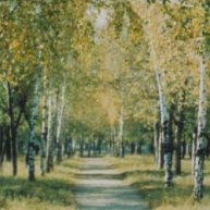 Иконка канала Лекса