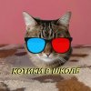 Иконка канала Котики в школе