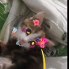 Иконка канала кэти. таня летом
