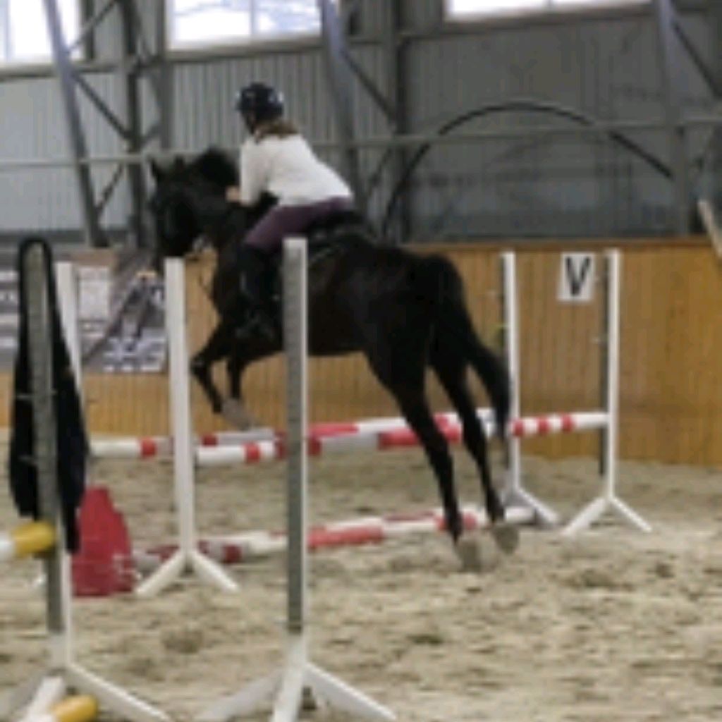 Иконка канала 🌸 Uliana HORSES 🌸