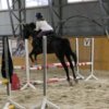 Иконка канала 🌸 Uliana HORSES 🌸