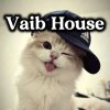 Иконка канала Vaib House