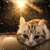 Иконка канала Костя 234К тв