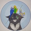 Иконка канала Birds_be_Birds