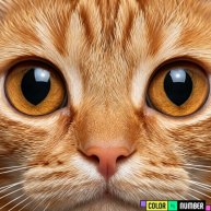 Иконка канала lololoshka058