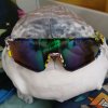 Иконка канала whale 18 К И bear 45 К (Fanwhale18K)
