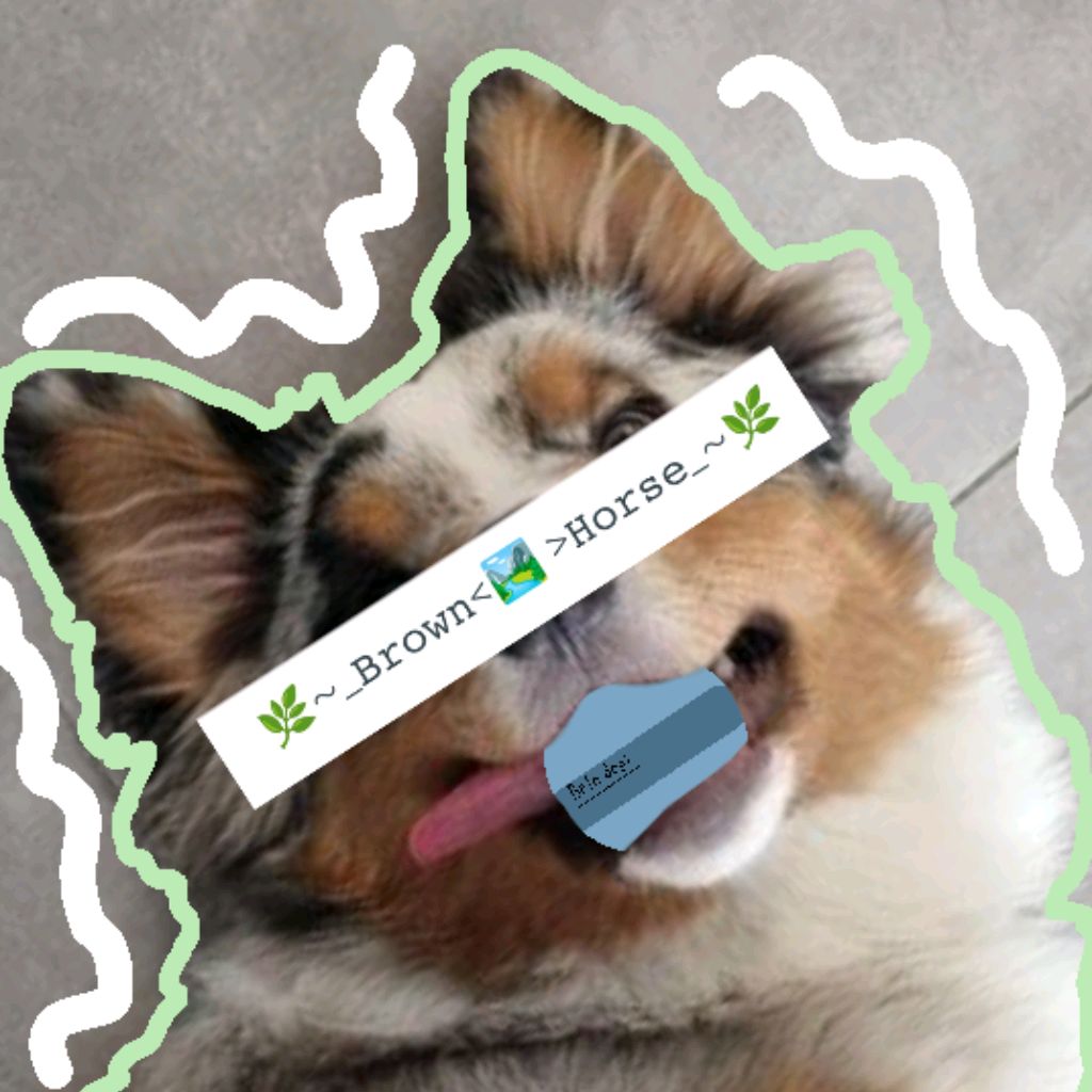 Иконка канала 🌿~_𝙱𝚛𝚘𝚠n﹤🏞️﹥𝙷𝚘𝚛𝚜𝚎_~🌿