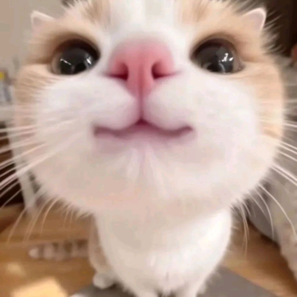 Иконка канала Фильмы и клипы😙😋😊😁😘🥰