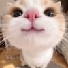 Иконка канала Фильмы и клипы😙😋😊😁😘🥰