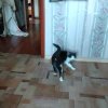 Иконка канала Тимофей  Кос