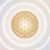 Иконка канала Дельта Гравитон