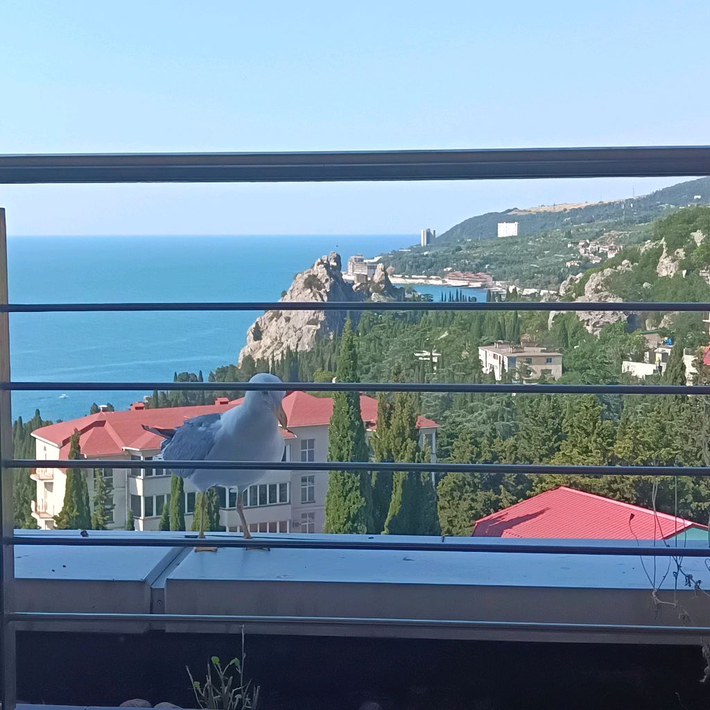 Иконка канала Шаг вперёд