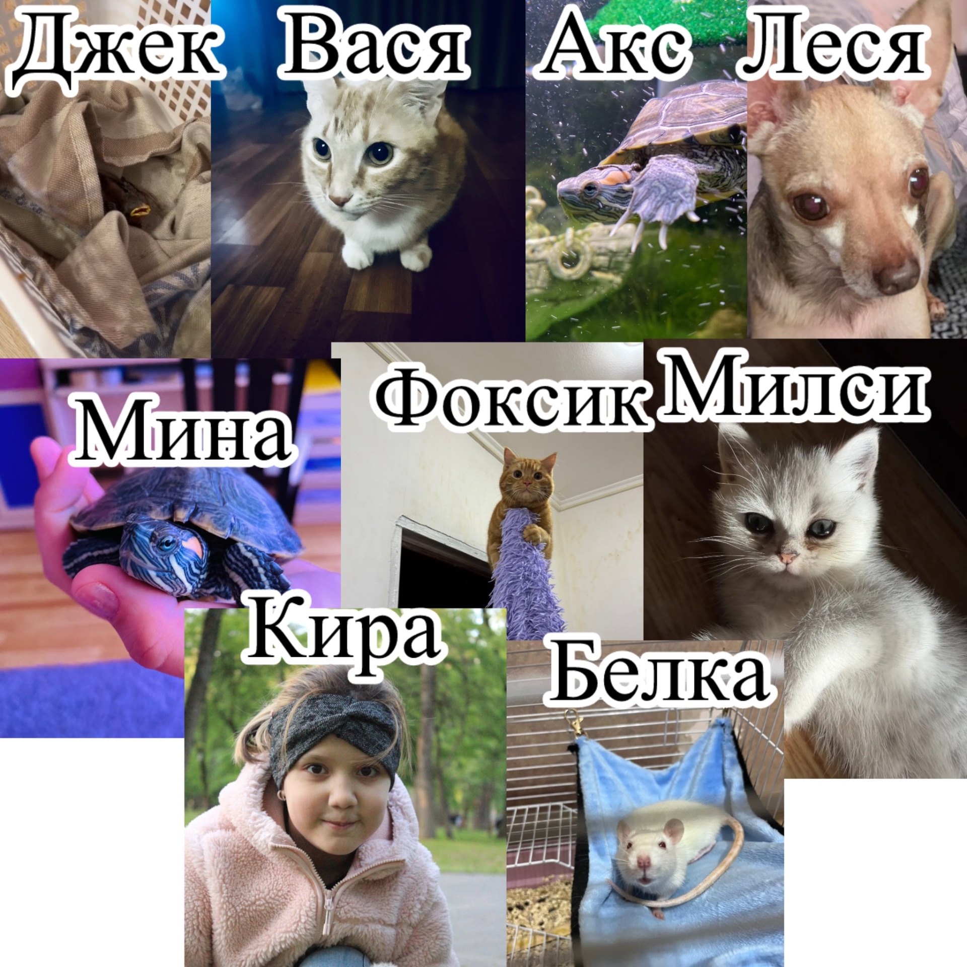 Иконка канала КИРУСЯ КУ КУ СЯ 🦜🐢🐢🐁🐈🐈🐈