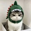 Иконка канала 🫪🍉Таис_лив🍉🫪