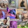 Иконка канала КИРУСЯ КУ КУ СЯ 🦜🐢🐢🐁🐈🐈🐈