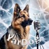Иконка канала ЯрДогТВ