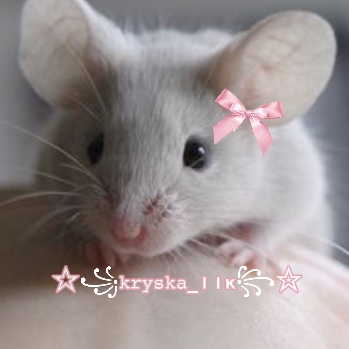 Иконка канала ☆꧁𝚔𝚛𝚢𝚜𝚔𝚊_11к꧂☆