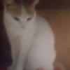 Иконка канала Трубаков Сергей И Муся