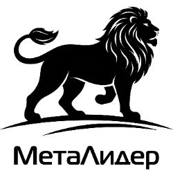 Иконка канала Международная Академия НЛП и Коучинга "МетаЛидер"